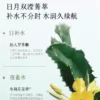O1CN01OuG7LR1Xnr2A6XDsl_3027922969.jpg_q50.jpg_.webp 谷雨月见仙人掌水乳套装补水保湿干皮舒缓学生化妆品护肤品女正品
